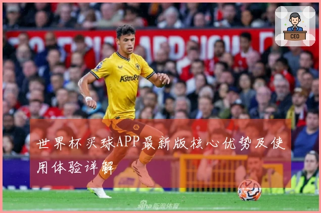 世界杯买球APP最新版核心优势及使用体验详解
