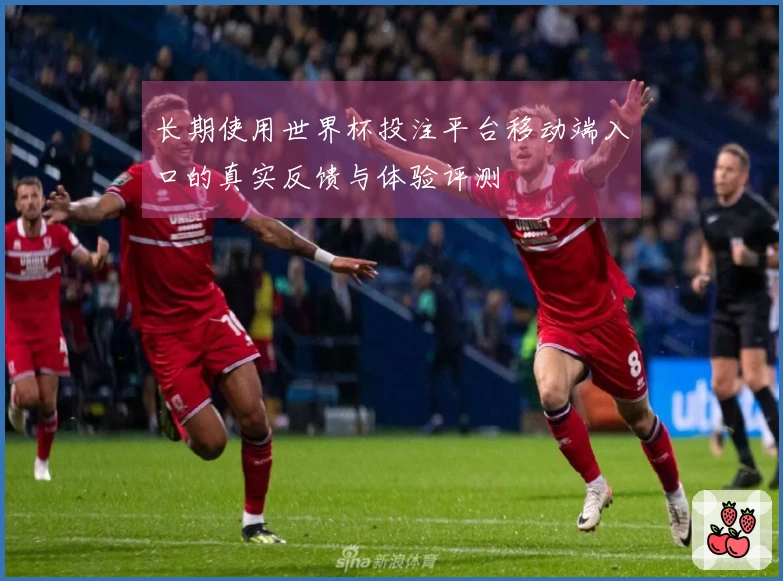 长期使用世界杯投注平台移动端入口的真实反馈与体验评测