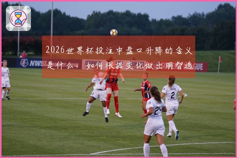 2026世界杯投注中盘口升降的含义是什么，如何根据变化做出明智选择？