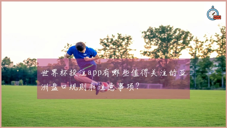 世界杯投注app有哪些值得关注的亚洲盘口规则和注意事项？