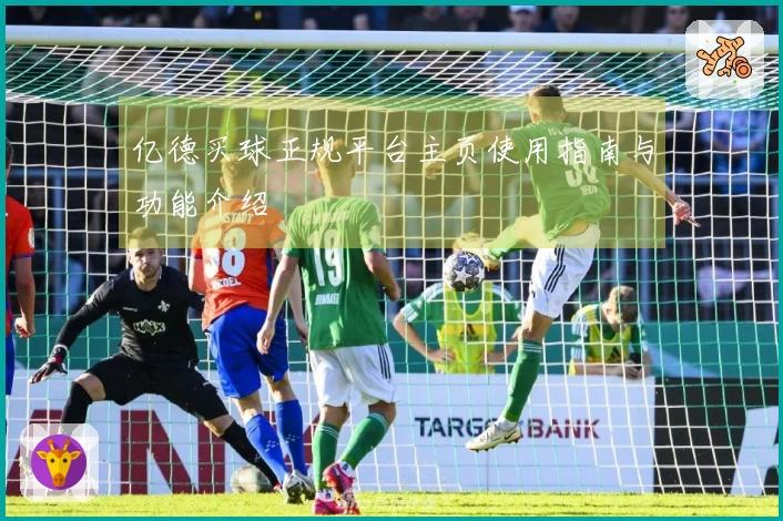 亿德买球正规平台主页使用指南与功能介绍