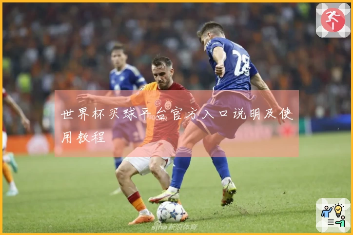 世界杯买球平台官方入口说明及使用教程