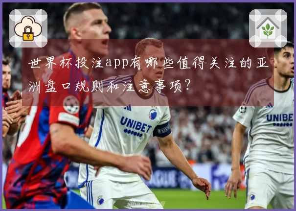世界杯投注app有哪些值得关注的亚洲盘口规则和注意事项？
