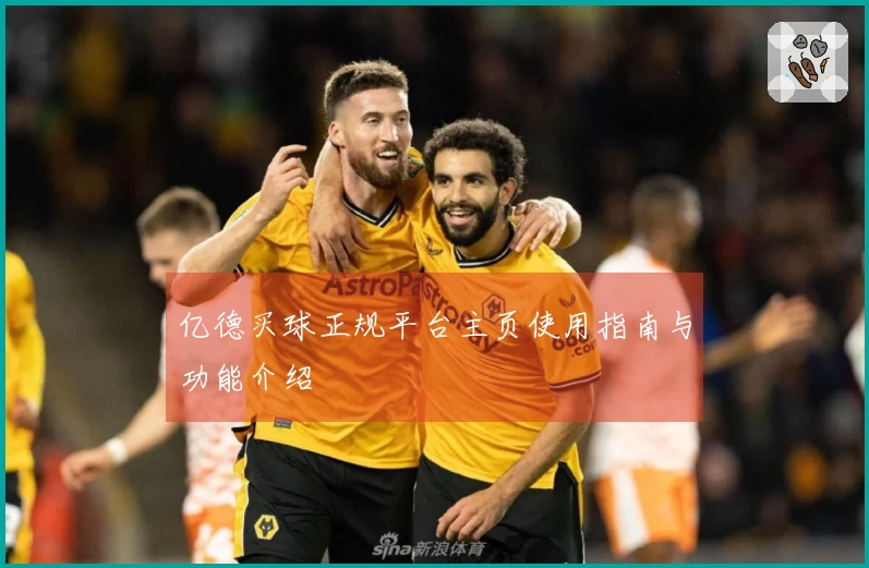 亿德买球正规平台主页使用指南与功能介绍