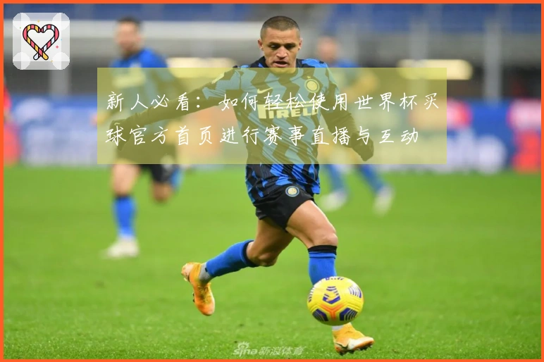 新人必看：如何轻松使用世界杯买球官方首页进行赛事直播与互动
