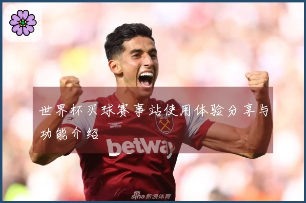 世界杯买球赛事站使用体验分享与功能介绍