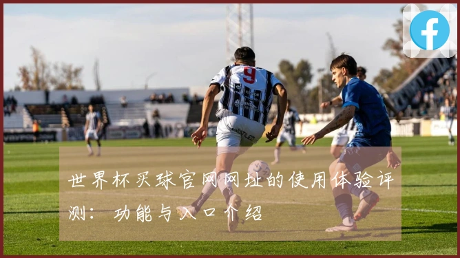 世界杯买球官网网址的使用体验评测：功能与入口介绍