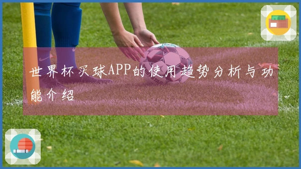 世界杯买球APP的使用趋势分析与功能介绍