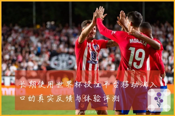 长期使用世界杯投注平台移动端入口的真实反馈与体验评测