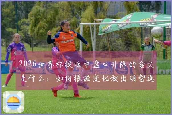 2026世界杯投注中盘口升降的含义是什么，如何根据变化做出明智选择？