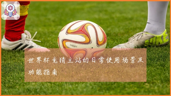 世界杯竞猜主站的日常使用场景及功能指南