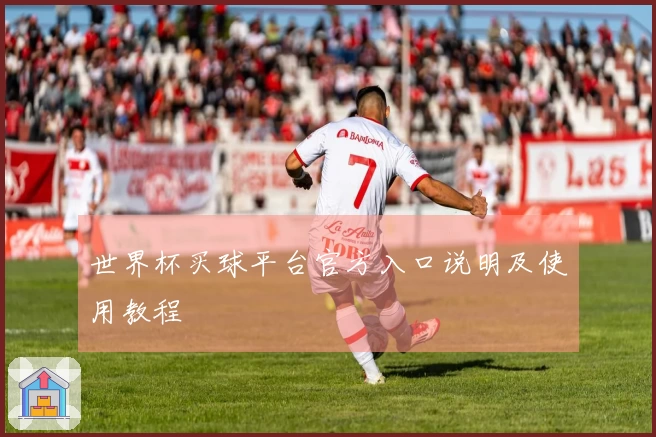 世界杯买球平台官方入口说明及使用教程