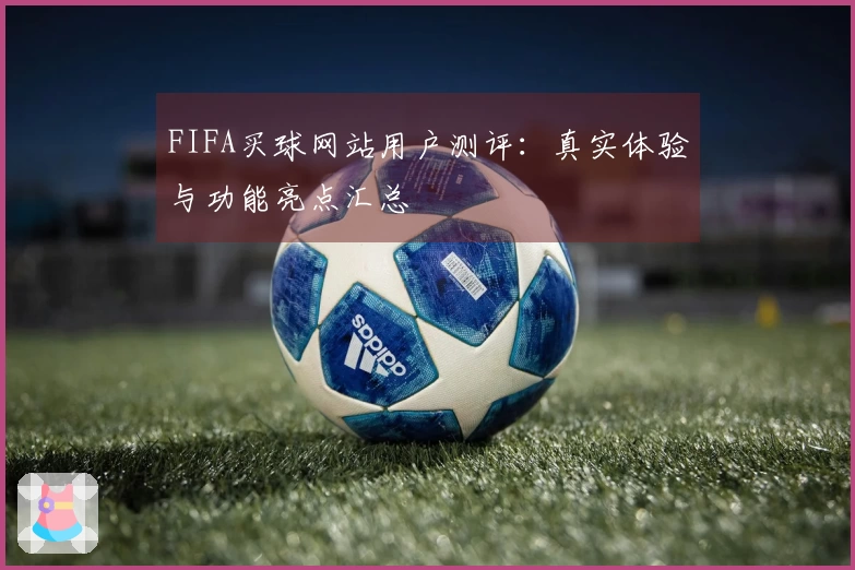 FIFA买球网站用户测评：真实体验与功能亮点汇总